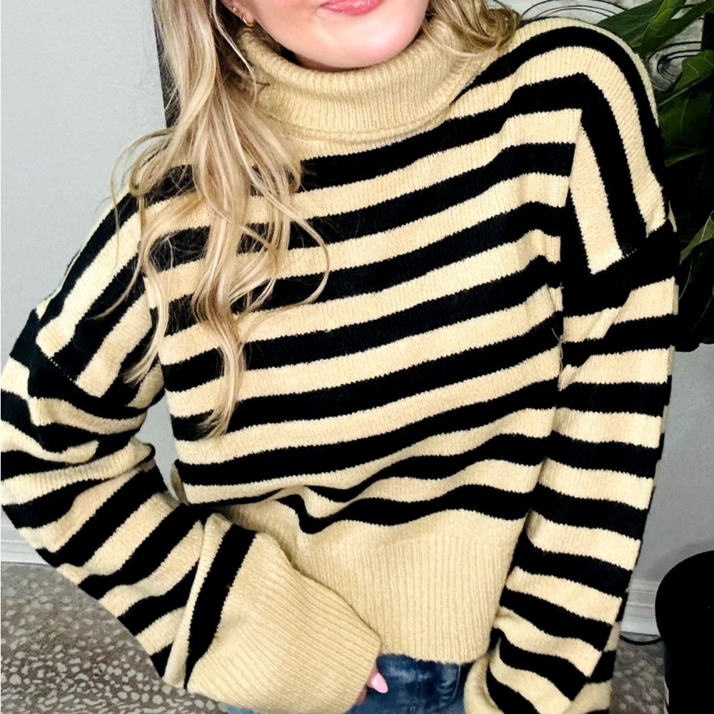 Women's Black and Tan Striped Turtleneck Sweater